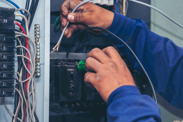 Best Electric Panel Repair  in Pquemine, LA